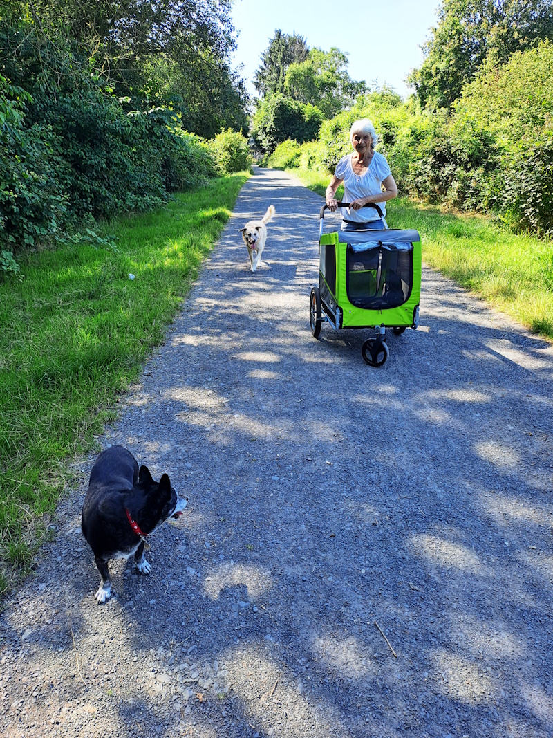 Merlin mit seinem neuen Wagen 1