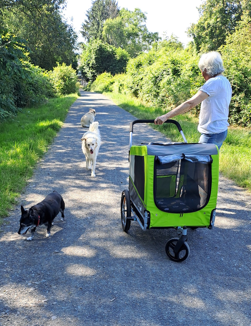 Merlin mit seinem neuen Wagen 3