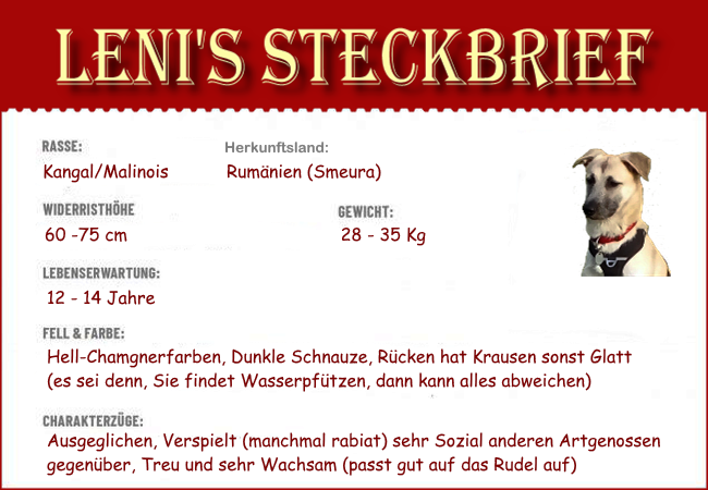 Lenis Steckbrief