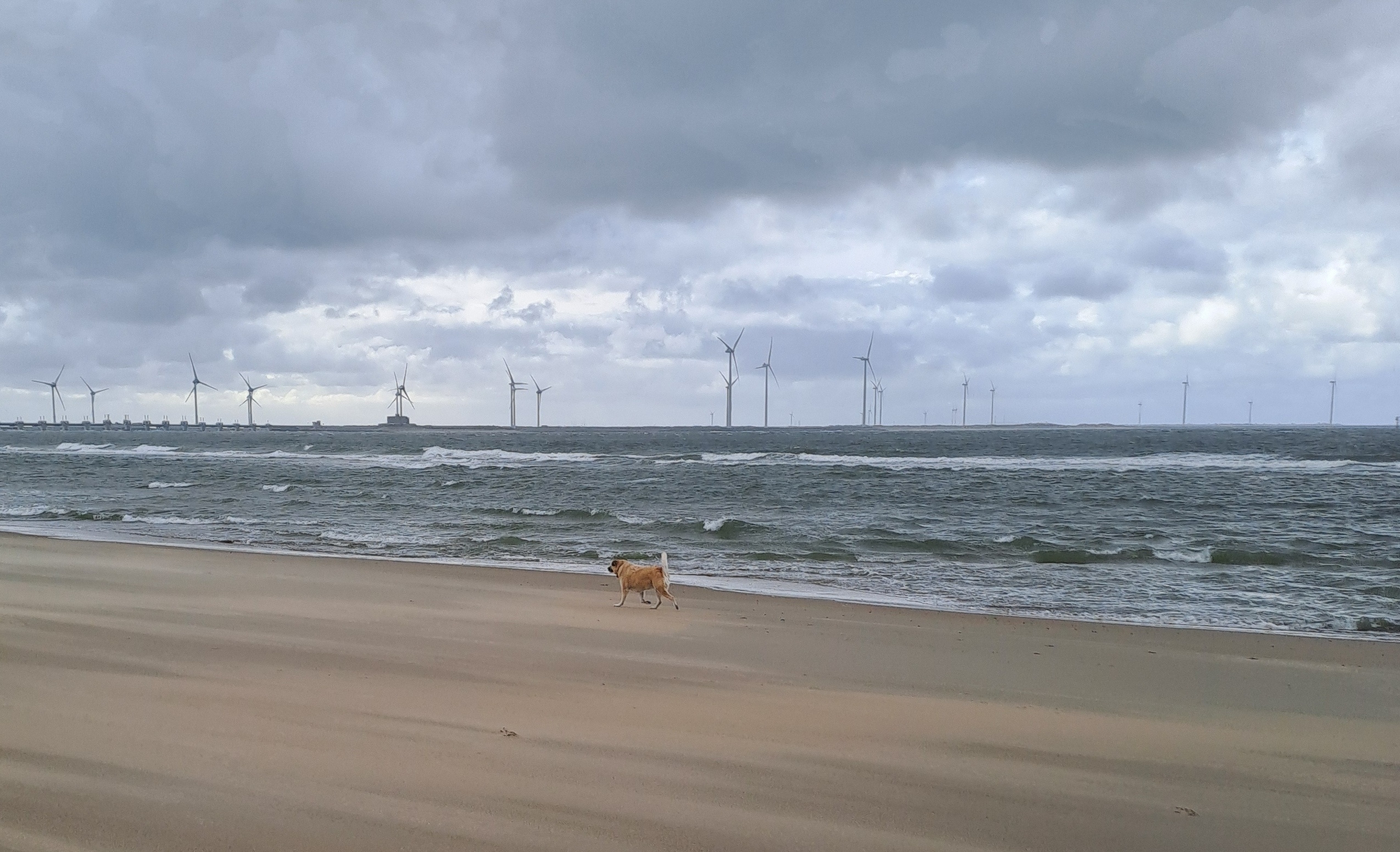 Leni als Strandlaeufer 0