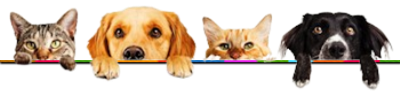 banner tiere 2