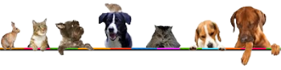 tierschutzbund banner 2